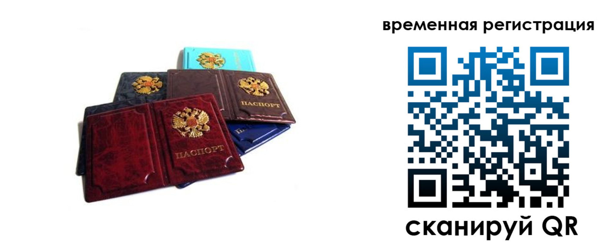 прописка гарантия в Поронайске